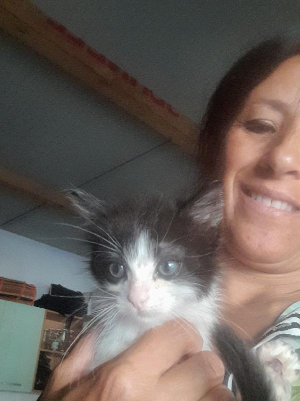 🐾💛"Matisse cerca mani amorevoli"💕🧑🏻‍🧑🏻‍🧒🏻 Foto 2